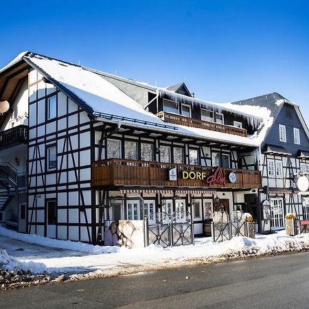 Gästehaus Dorf-Alm Willingen  Exterior foto
